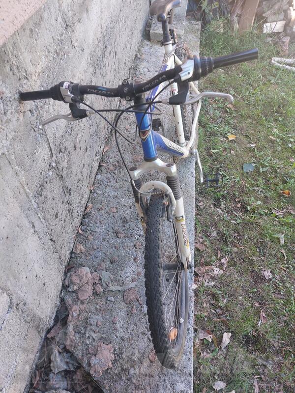 Author - Alpina Univega