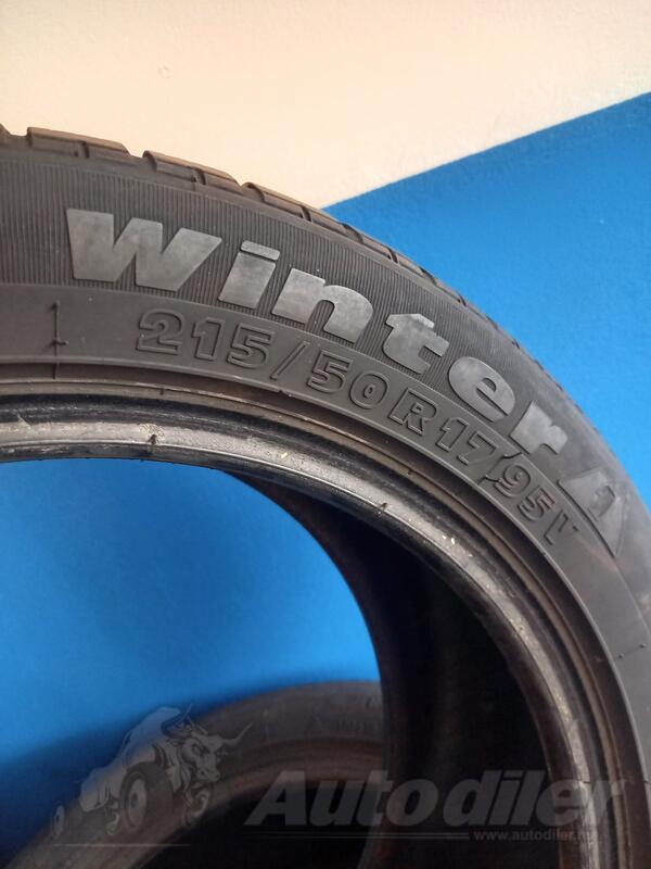 Tigar - winter - Winter tire