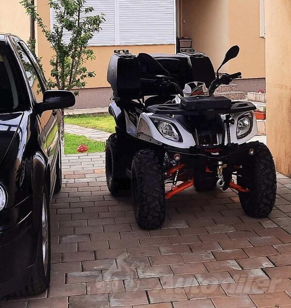 Bull - KAYO Big Bull Au 200