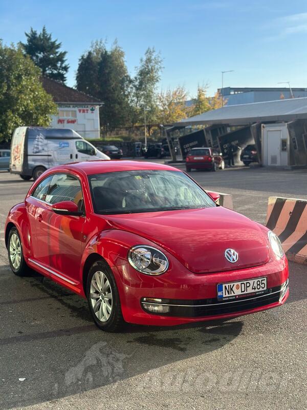 Volkswagen - New Beetle - 1.6 Tdi