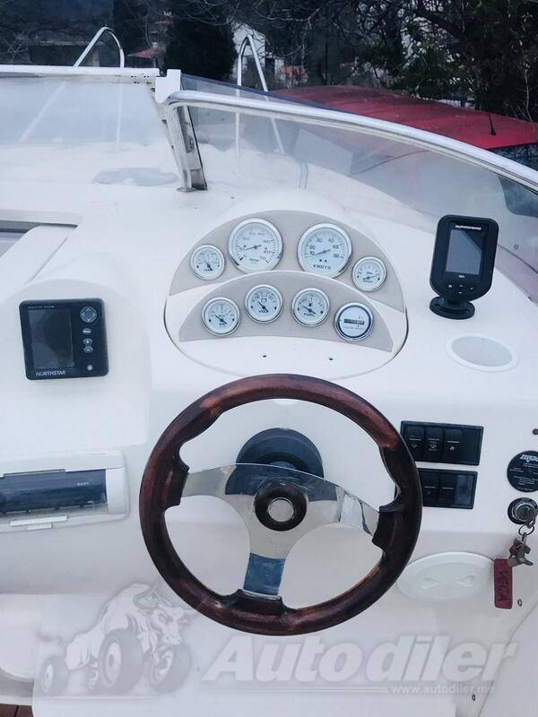 Quicksilver - Cruiser
