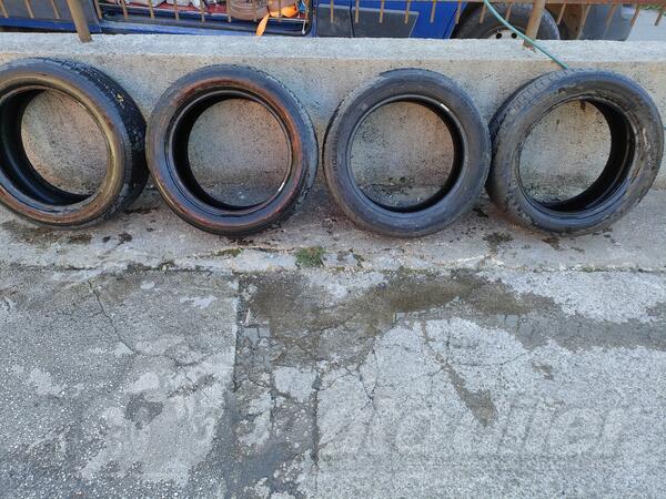 Barum - Polaris 5 - Univerzalna guma