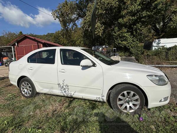 Škoda - Octavia - 1.9 TDI