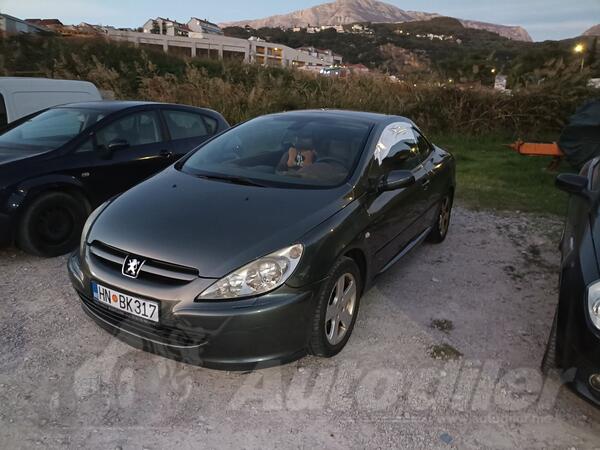 Peugeot - 307 - 2.0 benzin