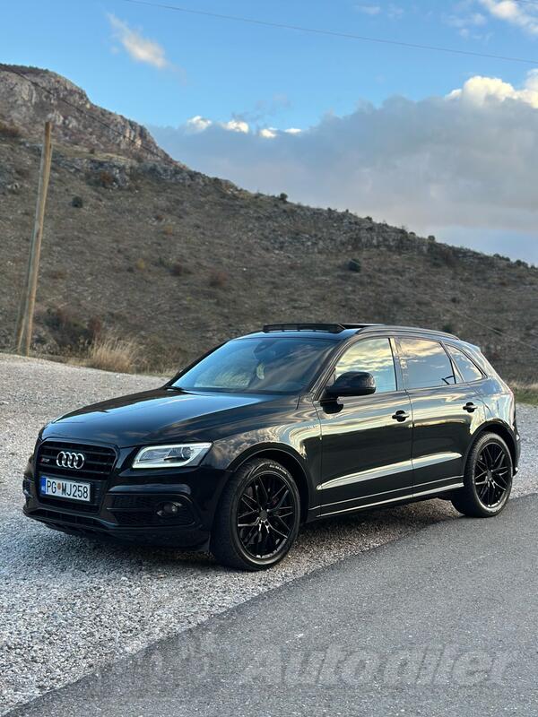 Audi - SQ5 - Black Edition