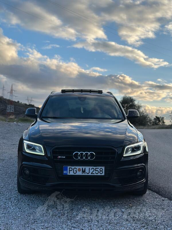 Audi - SQ5 - Black Edition