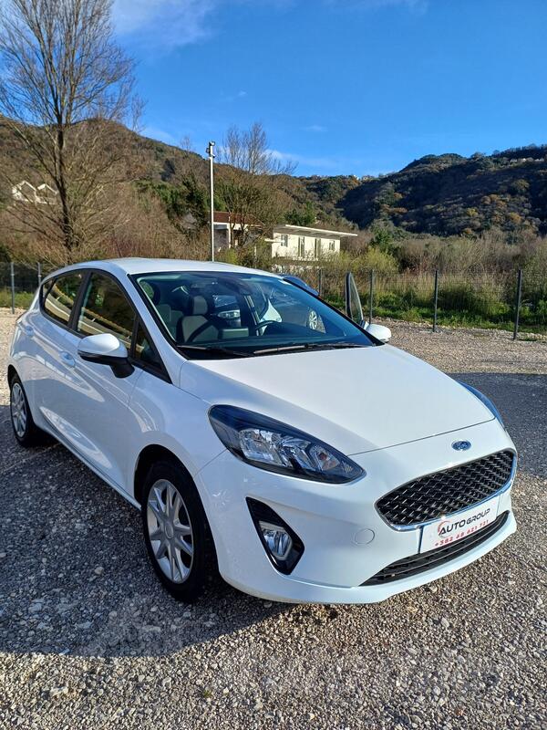 Ford - Fiesta - 1.0 eco boost/hybrid