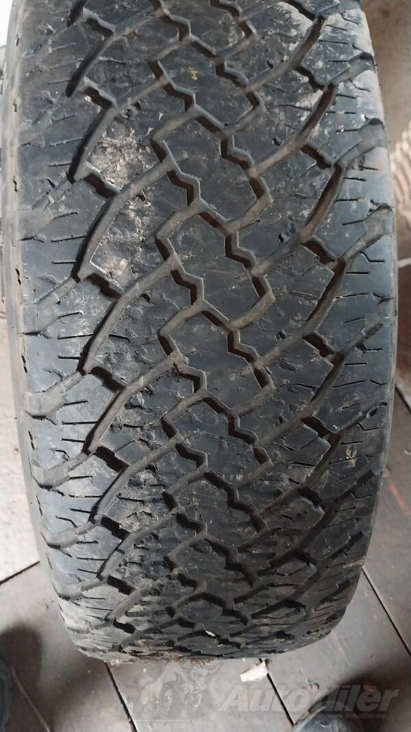Gripmax - ..... - Winter tire