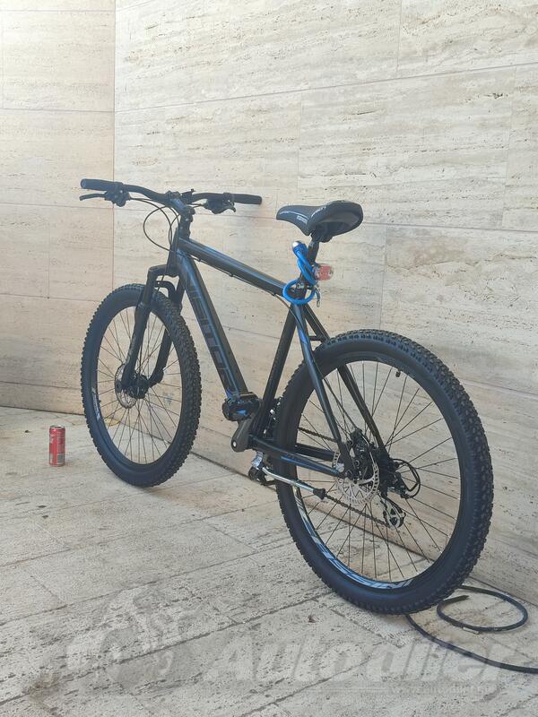 Scout - Scout Visitor