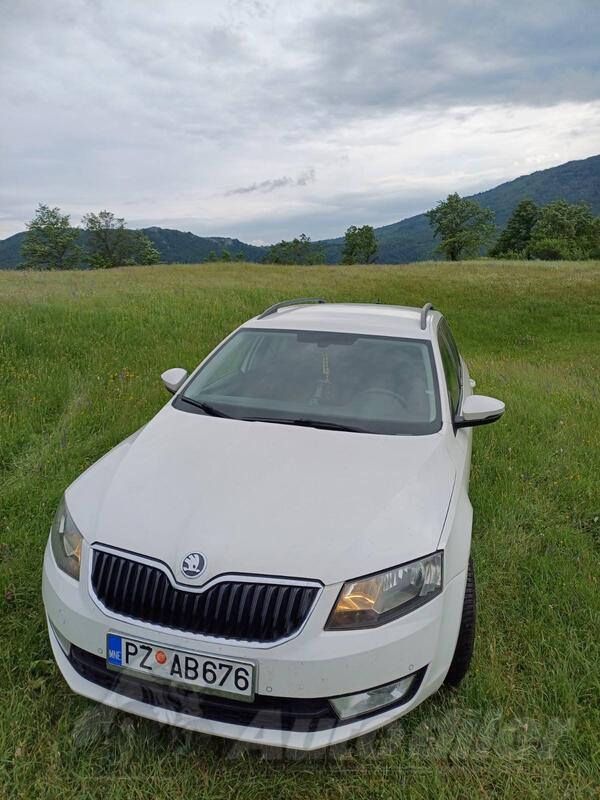 Škoda - Octavia - 2.0 TDI 4X4