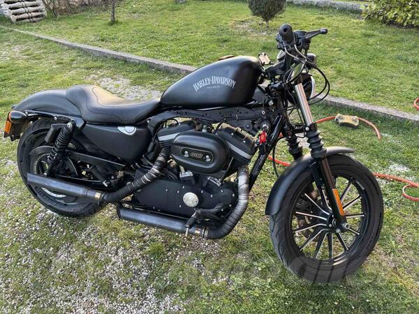 Harley-Davidson - XL 883 N