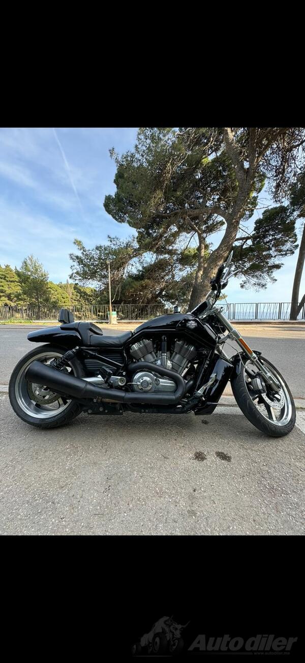 Harley-Davidson - V Rod muscle