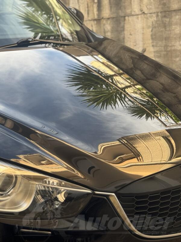 Car polishing - Car detailing services