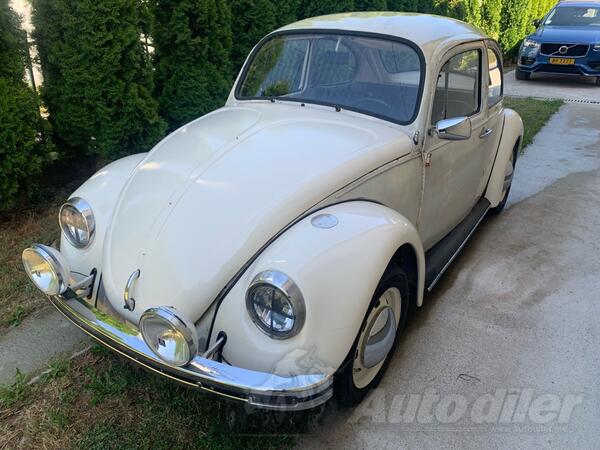 Volkswagen - Coccinele - Buba