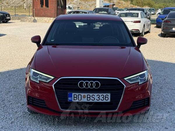 Audi - A3 - 1.6 TDI AUTOMATIK