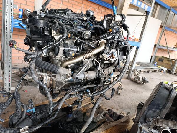 Motor za Automobile - Ford - C-Max    - 2015-2019