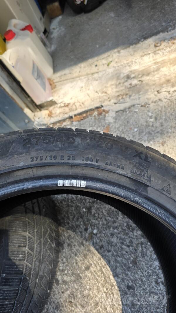 Continental - TS850 P M+S - Winter tire