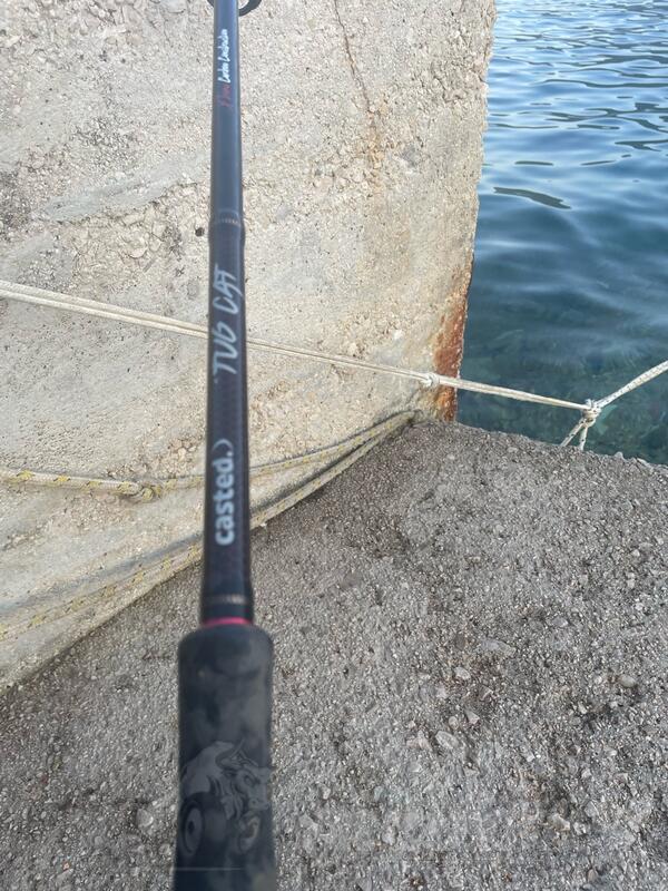 Rod for fishing - Castis