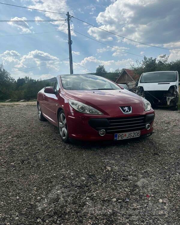 Peugeot - 307 - 2.0