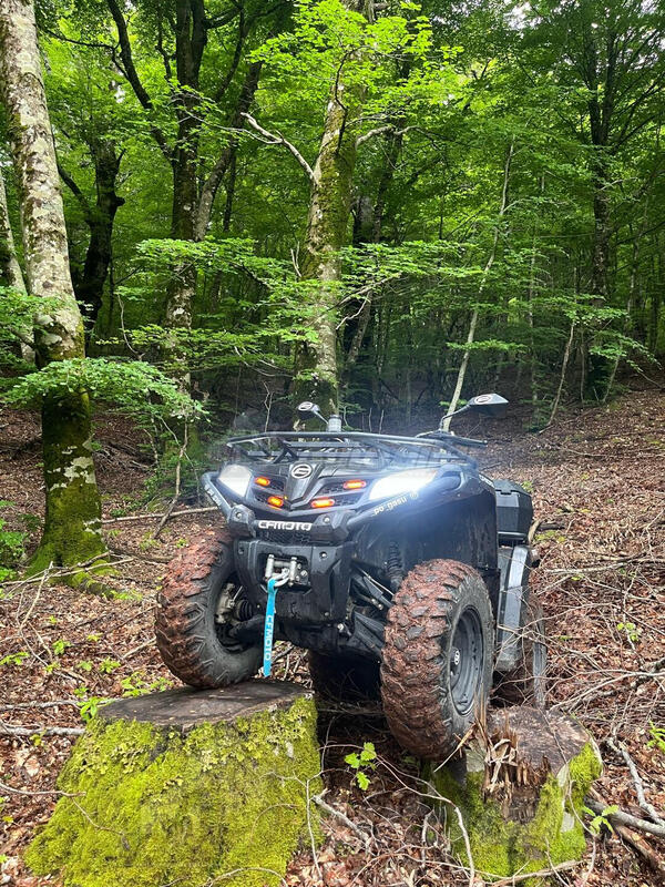 CFMoto - CF MOTO 450s