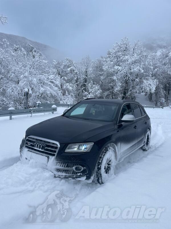 Audi - SQ5 - 3.0