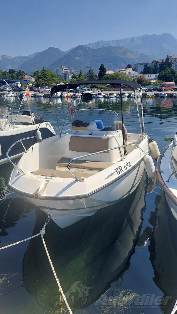 Quicksilver - Activ 555