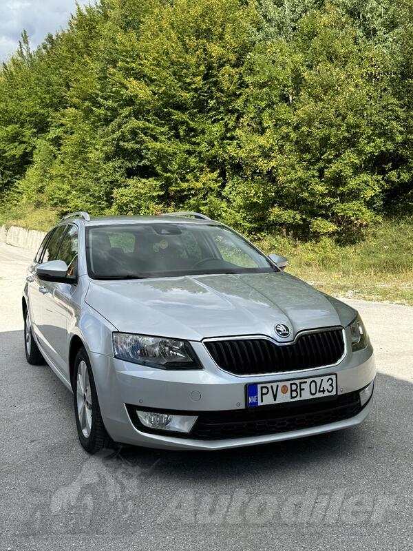 Škoda - Octavia - 2.0 TDI 4x4