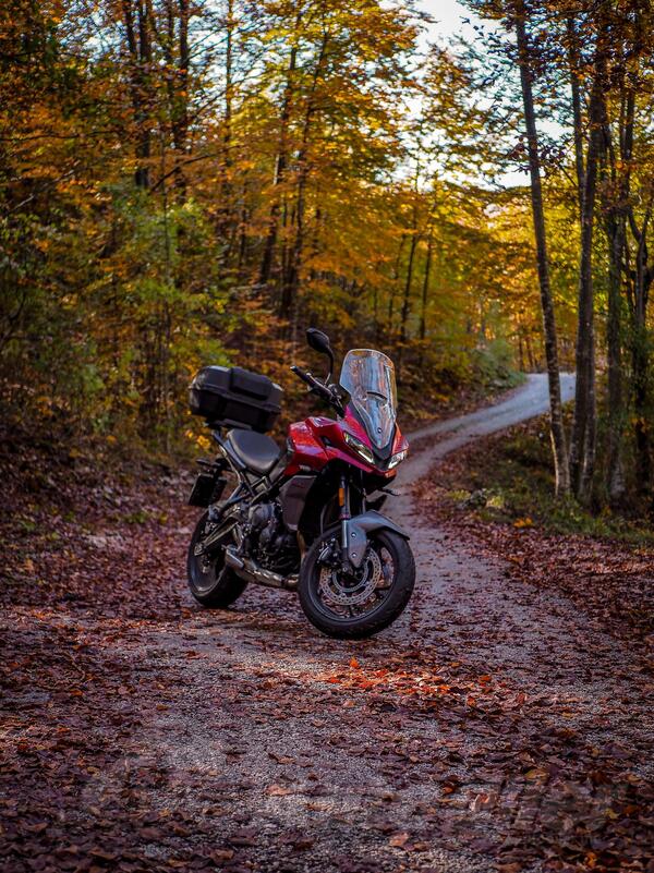 Triumph - Tiger sport 660