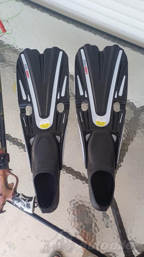 Fins - Diving equipment