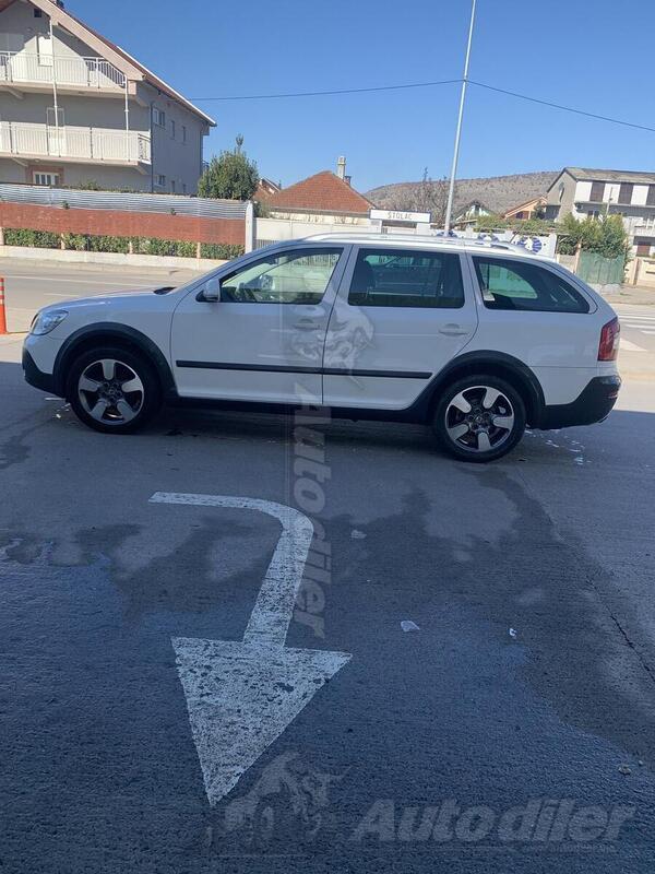 Škoda - Octavia - skaut