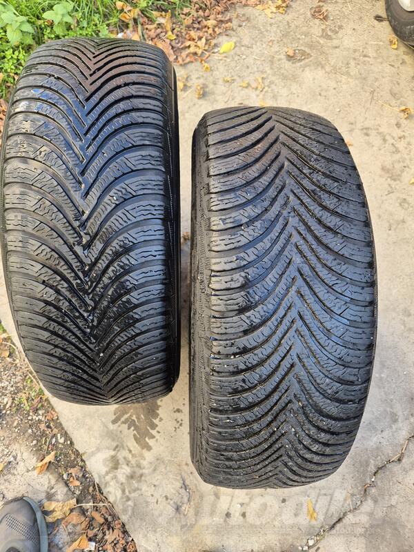 Michelin - Alpina5 - Zimska guma