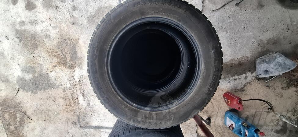 Lassa - competes winter 2 - Zimska guma