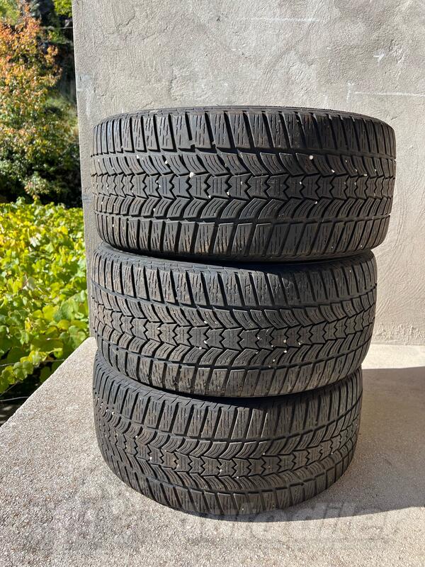 Sava - sava - Zimska guma