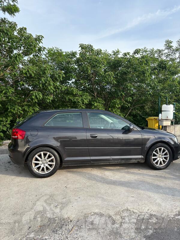 Audi - A3 - 1.9 TDI