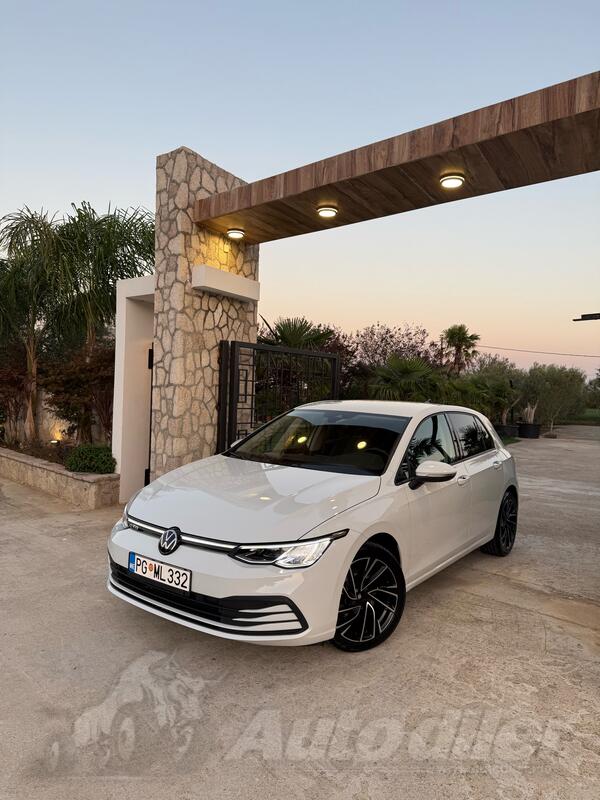 Volkswagen - Golf 8 - 2.0 tdi