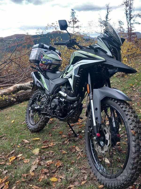 Migliori Castor - castor