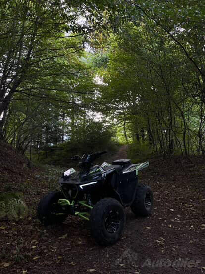 Arctic Cat - aff dazzler