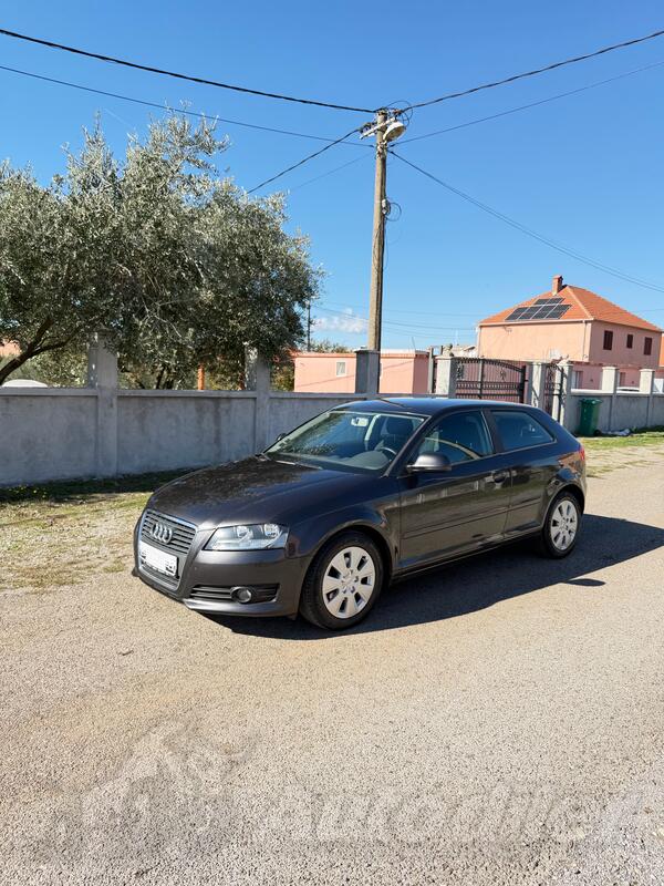 Audi - A3 - 1.6 TDI