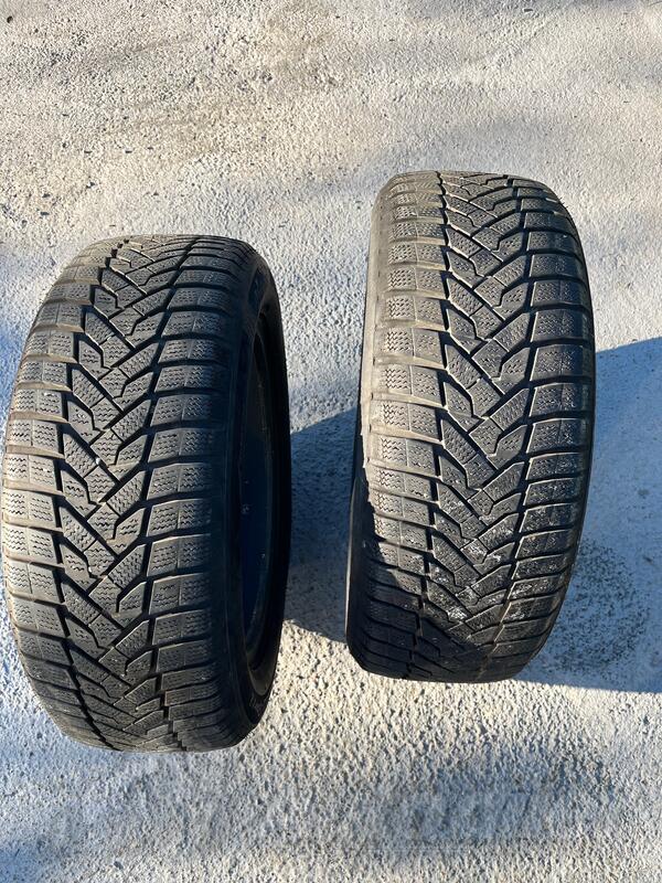 Nexen - winguard sport 2 - Zimska guma