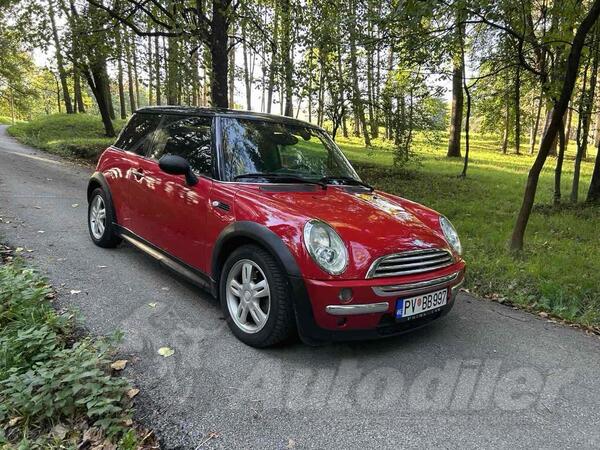 Mini - One D