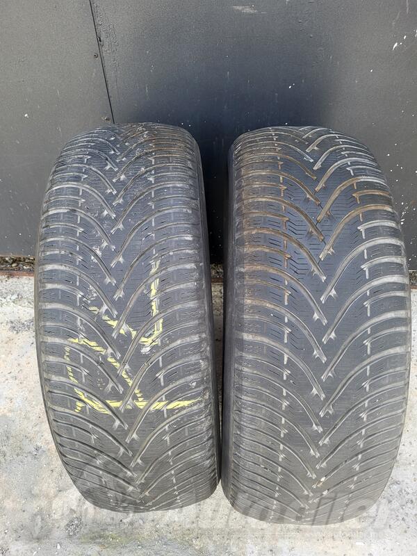 BF Goodrich - 123 - Zimska guma