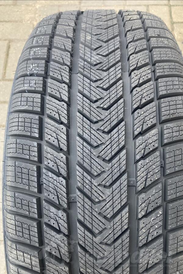 Gripmax - suregrip pro winter - Zimska guma