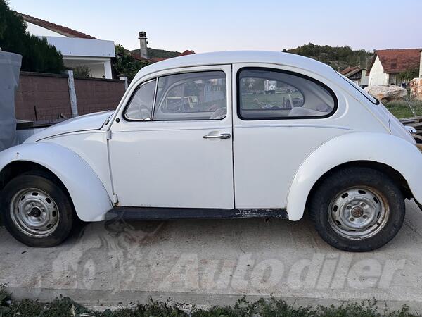 Volkswagen - Buggy