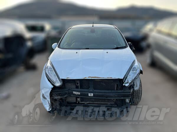 U djelovima Ford - Fiesta