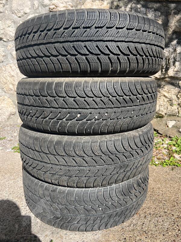 Sava - Sava eskimo zimska - Zimska guma