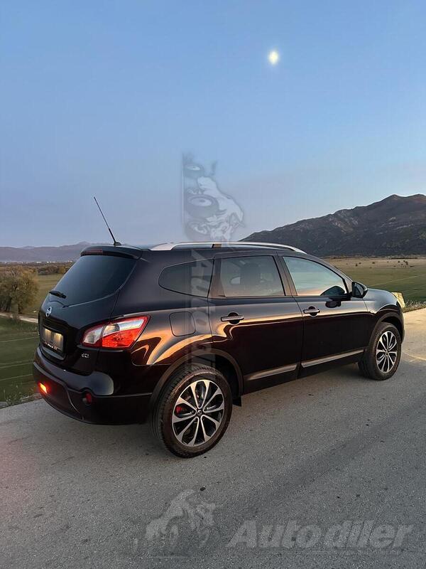 Nissan - Qashqai - 1.6dci