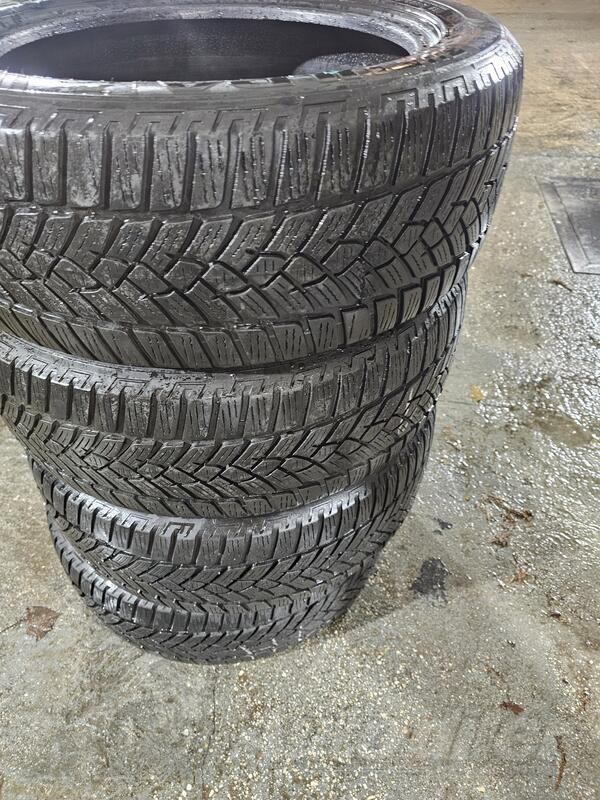 Fulda - zimska  - Univerzalna guma