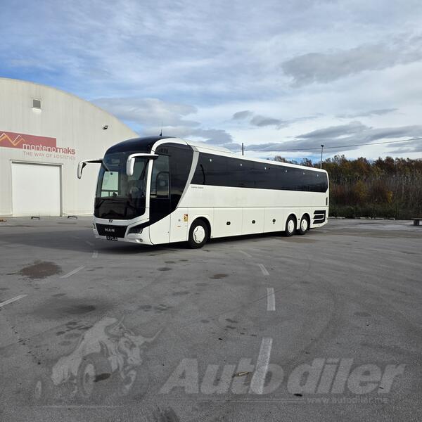 MAN - LIONS COACH R08