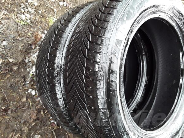 Minerva - M+S - Zimska guma