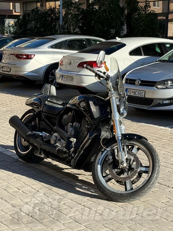 Harley-Davidson - VRSCF